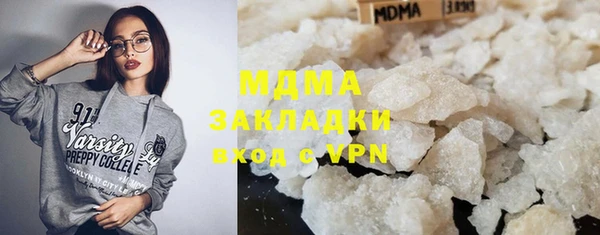 мдпв Гусев