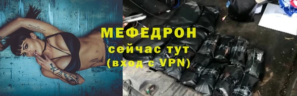 мдпв Гусев