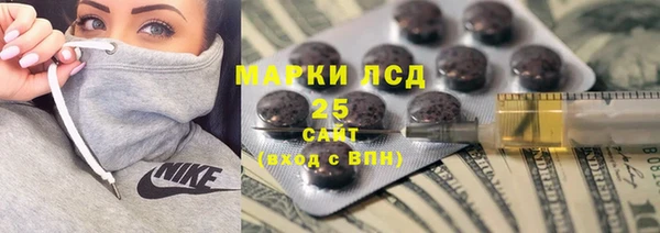 мдпв Гусев