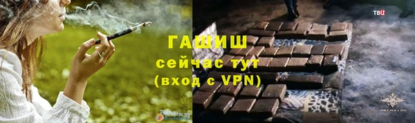мдпв Гусев