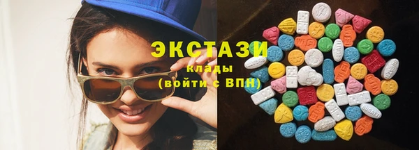 мдпв Гусев
