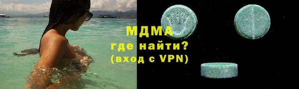 мдпв Гусев