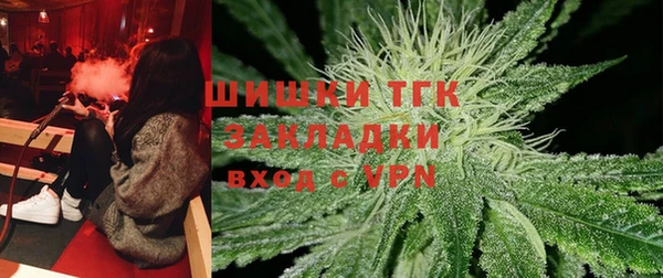 мдпв Гусев
