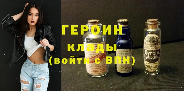 мдпв Гусев