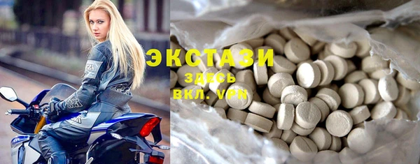 мдпв Гусев
