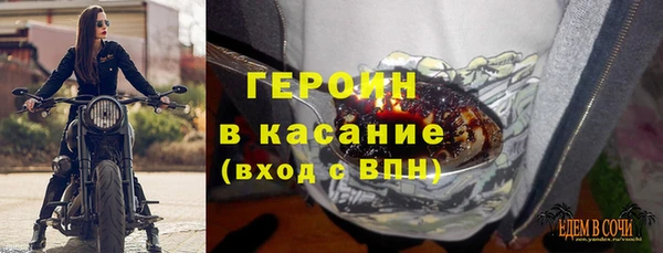 мдпв Гусев