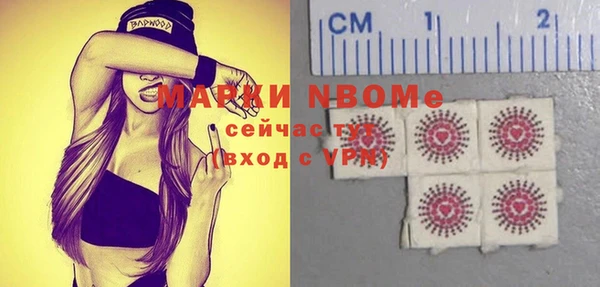 мдпв Гусев