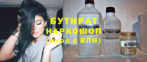 мдпв Гусев