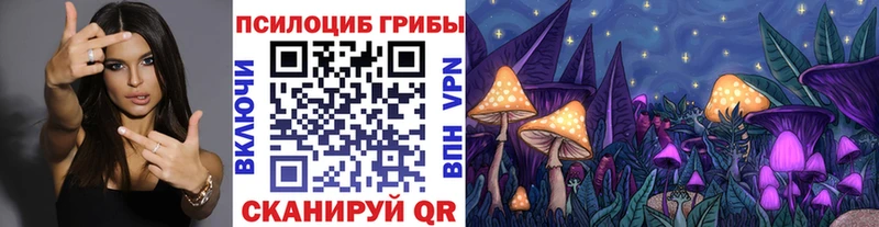 Купить закладки  Кинешма  Псилоцибиновые грибы мухоморы 